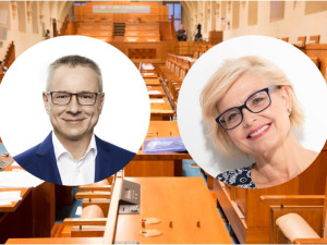 VOLBY 2022: Startuje druhé kolo voleb do Senátu, lidé v Plzeňském kraji vybírají mezi starostou a právničkou