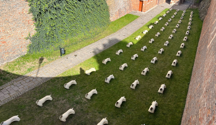 V Brně vystavili psí těla bez hlav. Armáda soch hlídá Špilberk