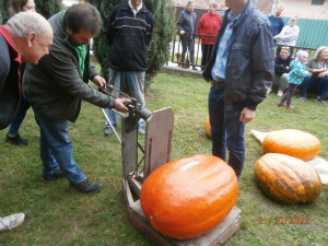 V soutěži obřích dýní se neztratily gigantické plody ze západu Čech. Ta úplně nejtěžší ze všech vážila 48,5 kg