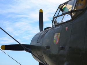 Debaty ohledně budoucností letiště v Líních neutichly ani po volbách, starostové věří, že tam žádné fabriky nebudou