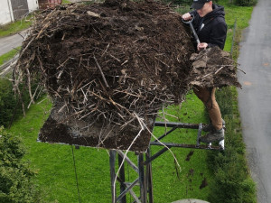 Čápi odletěli do teplých krajin, ve výškách začíná sezóna náročné údržby a čištění jejich opuštěných hnízd