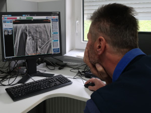 Veterinář vyšetřuje zraněného orla