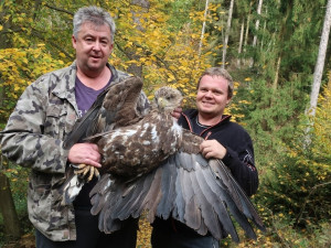 Vážně zraněného orla mořského našli pozorní milovníci přírody v obtížně přístupné rokli. Dravec už se léčí