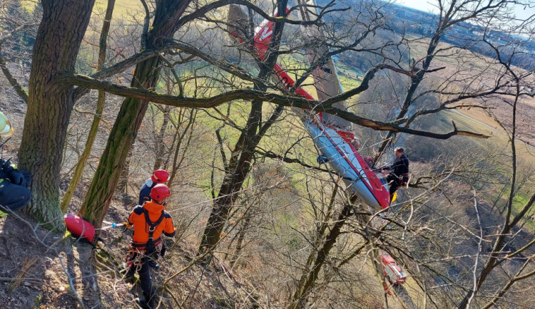 VIDEO: Kluzák na letiště nedoletěl a skončil ve větvích stromů, podle odborníků chyboval pilot
