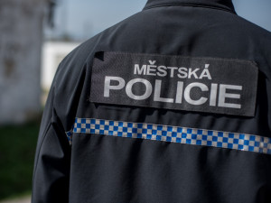 Velitel plzeňské městské policie má deset dní na to, aby předložil opatření, jak zlepšit její fungování a řízení