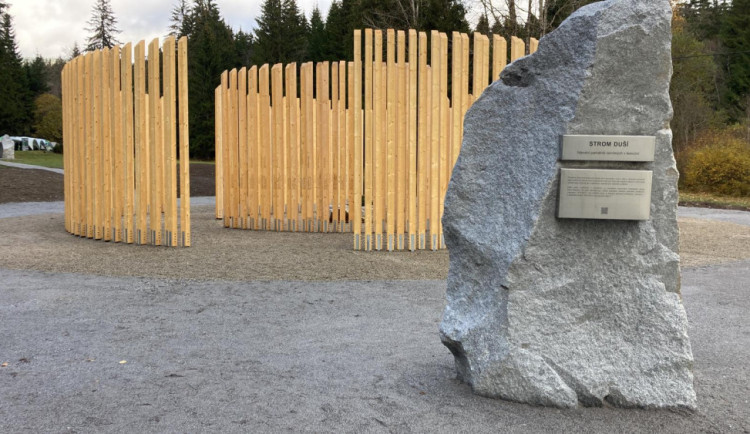 size4-16667009248132-2-strom-dusi-pod-boubinem-pripomina-jmena-tech-kteri-zemreli-v-lese