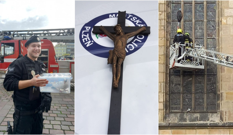 Cizinec schovával pod budou dřevěný kříž, strážníci pomáhali také zachránit holuba za oknem katedrály