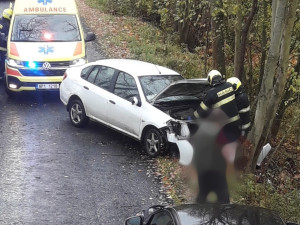 Řidička zemřela po nárazu do stromu, nejspíš za volantem těsně před tragédií zkolabovala