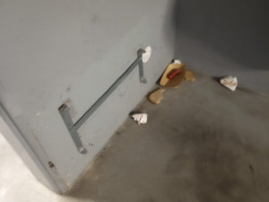 Na stadionu řádili také fanoušci