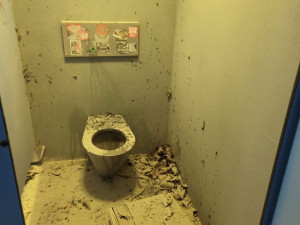 Na stadionu řádili také fanoušci