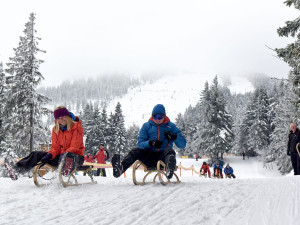 Na Javoru je i 1200 metrů dlouhá sáňkařská dráha