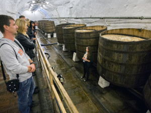 Přijďte do Plzeňského Prazdroje na speciální adventní prohlídky pivovaru s pivním kvízem a štědrou degustací