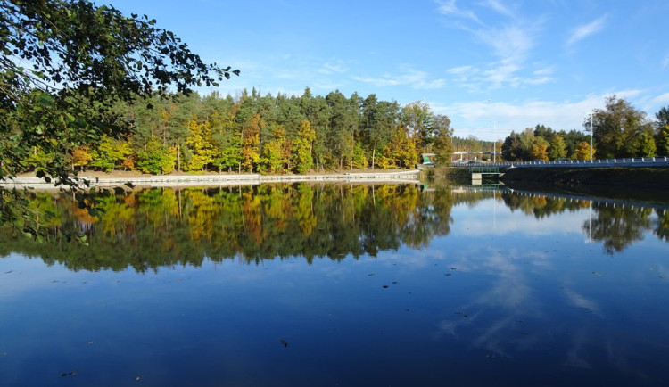 Po několika letech se uskuteční výlov Třemošenského rybníka, ryby budou k prodeji v městských sádkách
