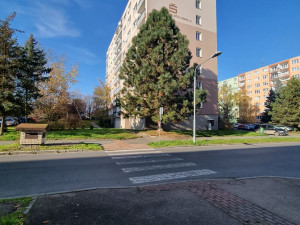 Radnice chce naučit řidiče správně parkovat, připravili pro ně informační kampaň