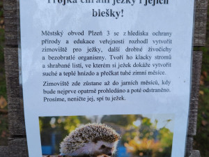 Každý čtvrtý ježek nepřežije zimní období, lidé jim proto zřizují zimoviště z hromádek listí