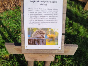 Každý čtvrtý ježek nepřežije zimní období, lidé jim proto zřizují zimoviště z hromádek listí