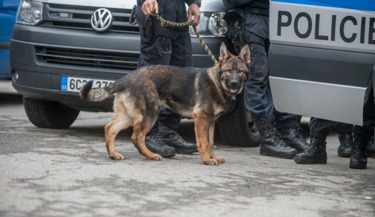 Cizinec za volantem dodávky smetl vůz policejního psovoda, cestovali s ním i dva psi