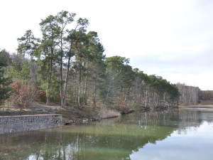 Šíldovský rybník bude mít lepší přístup k vodě, město také nechá zpevnit jeho břeh, aby lépe odolal erozi