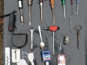 Pašák Gorbi dopadl po dramatické honičce zloděje nafty se zákazem řízení v kradeném autě