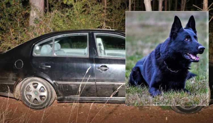 Pašák Gorbi dopadl po dramatické honičce zloděje nafty se zákazem řízení v kradeném autě