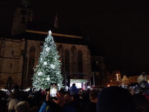 FOTO, VIDEO: Tisícovky lidí sledovaly rozsvícení stromu na plzeňském náměstí, vyjela i vánoční tramvaj
