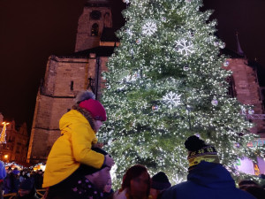 FOTO: Tisícovky lidí sledovaly rozsvícení stromu na plzeňském náměstí, vyjela i vánoční tramvaj