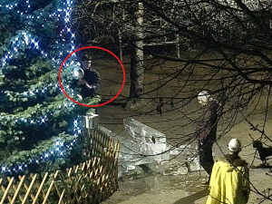 Vandal poničil ledovou sochu za desítky tisíc korun, policie hledá svědky i totožnost výtržníka