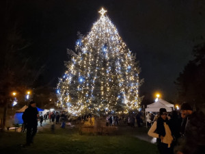 MO Plzeň 1, parku U Bazénu na Lochotíně, foto: MO Plzeň 1