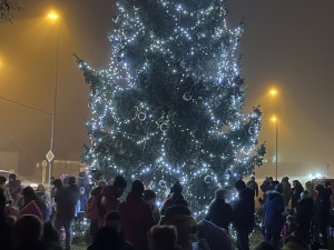MO Plzeň 5 - Křimice, foto: MO Plzeň 5