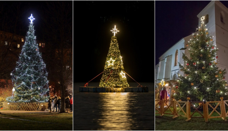 ANKETA: Obvody se chlubí vánočními stromy, vyhraje u vás klasika nebo plovoucí strom uprostřed přehrady?