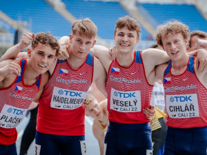 Nejlepším atletickým klubem v zemi se stal letos AK Škoda Plzeň. Atleti získali rekordních 82 medailí