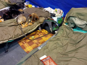 Loni v únoru vzniklo v areálu DEPO2015 evakuační krizové středisko pro lidi bez domova. Denně zařízení využívalo 70 osob bez domova.