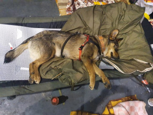 Loni v únoru vzniklo v areálu DEPO2015 evakuační krizové středisko pro lidi bez domova. Denně zařízení využívalo 70 osob bez domova.