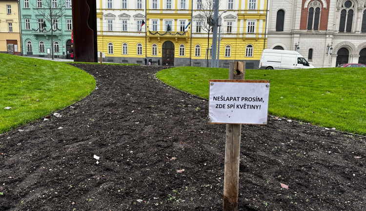 Chodci devastují záhony se zasazenými cibulovinami opatřené cedulemi zakazující vstup. Hlínou prošla i žena na vysokých podpatcích