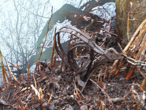 Řadu zvířat krutě usmrtila nelegální železná past. Nejprve propadla státu, po znehodnocení skončila v kovošrotu