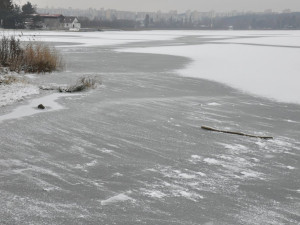Bolevecké rybníky mají zatím jen tenký led a zamrzají velmi pomalu