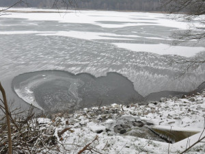 Bolevecké rybníky mají zatím jen tenký led a zamrzají velmi pomalu