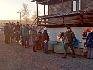 Vojenské lesy začaly s prodejem ryb z ekologických chovů na Padrťských rybnících, kapry nabízejí pod stovku