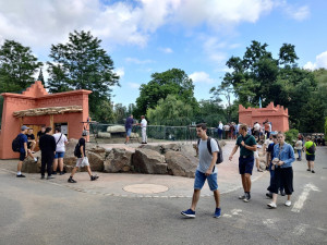 Zoo Plzeň letos otevřela zmodernizovaný a přebudovaný výběh pro lvy berberské