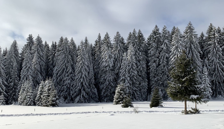 Vznikl nový geopark Královská Šumava, vymezují ho Kašperské Hory, Železná Ruda a Čachrov
