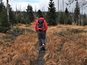 Šumava - ilustrační foto