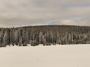 Vznikl nový geopark Královská Šumava, vymezují ho Kašperské Hory, Železná Ruda a Čachrov