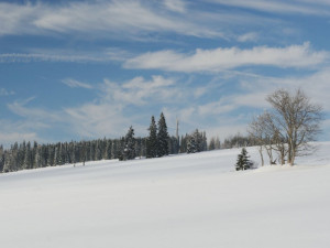Huťská hora, dějiště letecké katastrofy