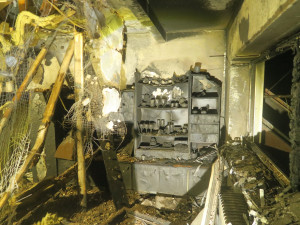 Hasiči zachraňovali z hořícího bytu tři lidi včetně ročního dítěte, pátrali také po ztracené užovce