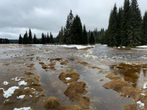 Hrozí rozvodnění šumavských řek, naopak problémy s ledovkou díky oblevě mizí
