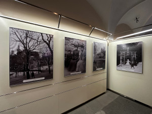 Zasněženou Plzeň před 130 lety představují unikátní fotografie pořízené ze starých skleněných negativů