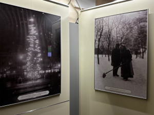 Zasněženou Plzeň před 130 lety představují unikátní fotografie pořízené ze starých skleněných negativů