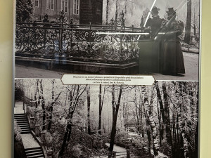 Zasněženou Plzeň před 130 lety představují unikátní fotografie pořízené ze starých skleněných negativů