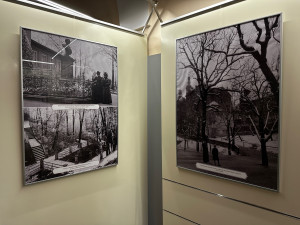 Zasněženou Plzeň před 130 lety představují unikátní fotografie pořízené ze starých skleněných negativů