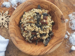 Česko letos zažívalo houbařské žně, říká populární Šumavská houbička. K návštěvě lesa inspiruje tisíce lidí